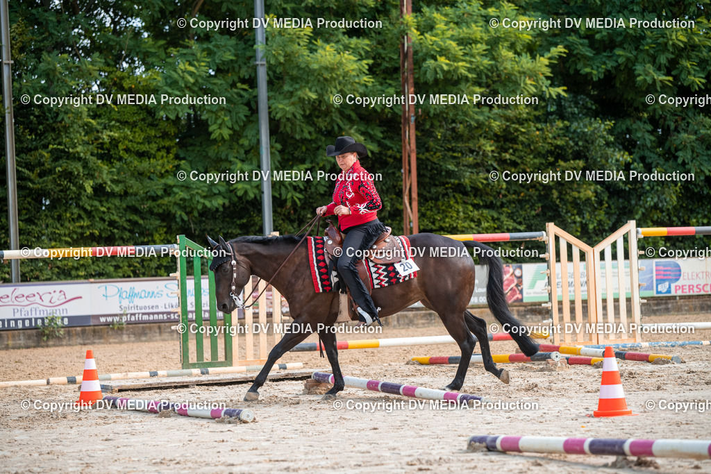 ZS3_9233 | dv-media-shop - Realisiert mit Pictrs.com