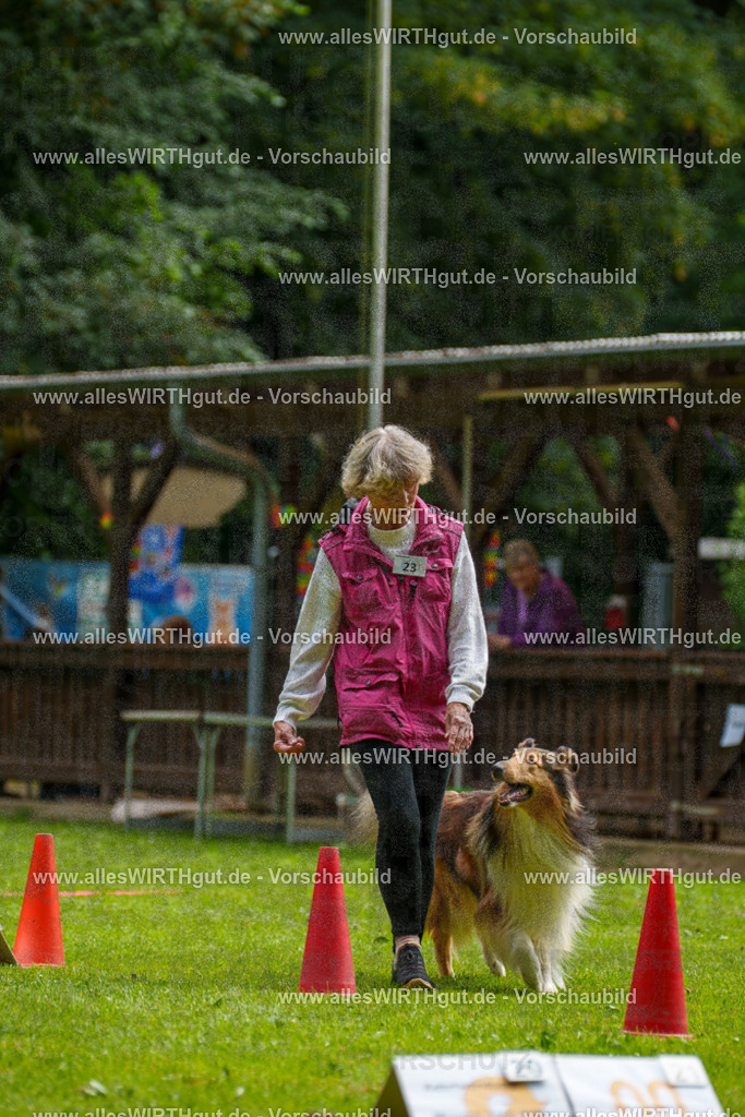 @allesWIRTHgut_Tierfotografie - www.allesWIRTHgut.de - 095131-7R507740 | Professionelle Tierfotografie in Mönchengladbach von Daniel Wirth (allesWIRTHgut). Liebevolle & natürliche Bilder von Hunden & Katzen für unvergessliche Erinnerungen.