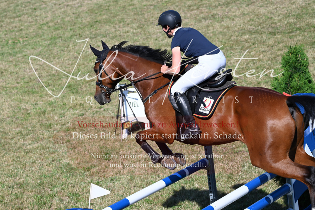 DSC_2197 | Pferde- und Turnierfotografie in Westsachsen. Pferdeportraits, Auftragszeichnungen und intuitive Kunst.