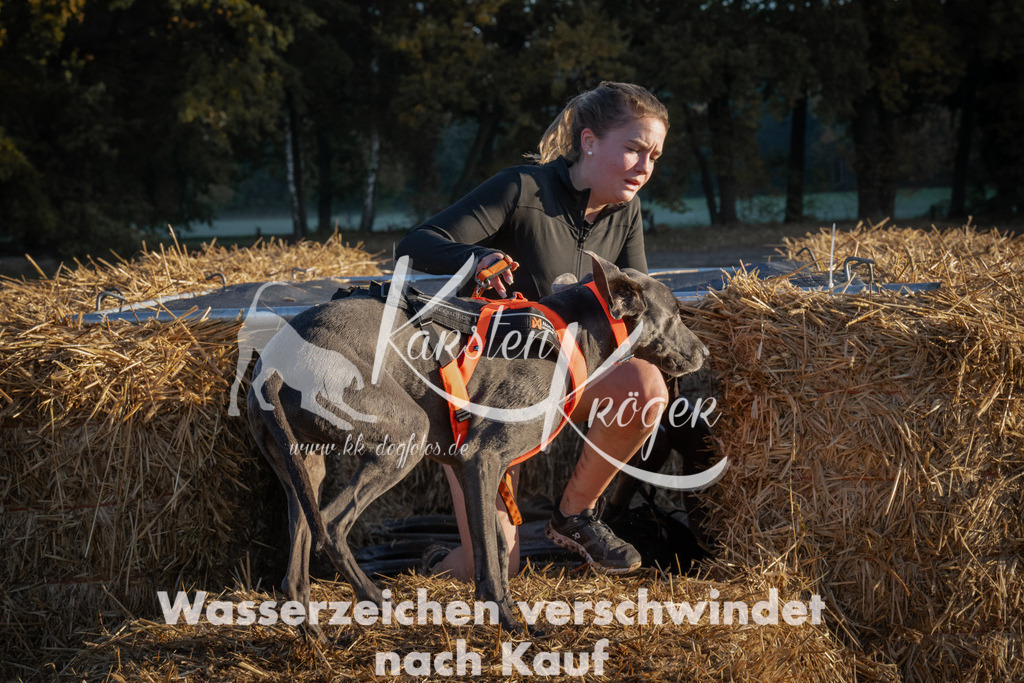 0923_ZZ92739 | kk-dogfotos