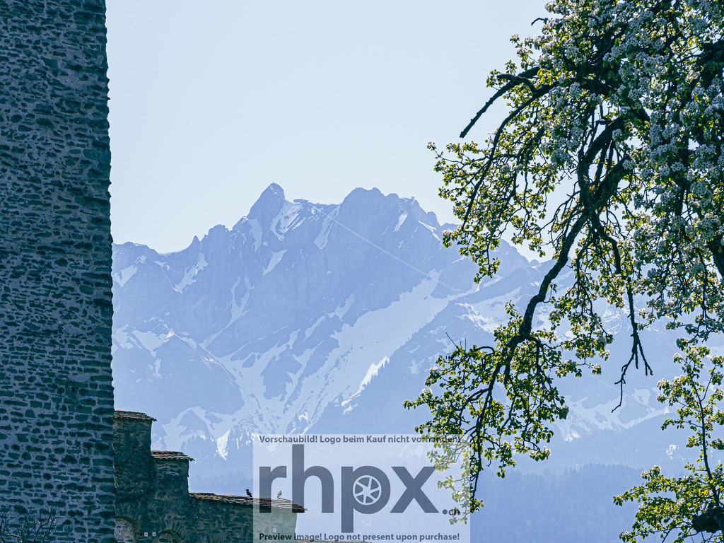 Frühling in Luzern – Blüten vor Pilatus | Stimmungsvolle Fotokunst aus Luzern. Erlebe den Pilatus, den See und die Stadt Luzern in exklusiven Aufnahmen in der Fotogalerie & Shop. - Realisiert mit Pictrs.com