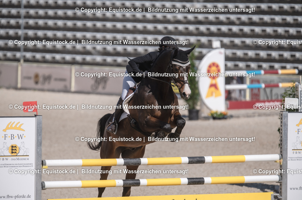 20240512_CCI2-L_Show-Jumping_0005 | Foto: Thomas Hartig