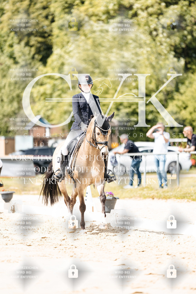 CK901775 | Turnierfotografie Pferdefotografie Trier Rheinland-Pfalz Pferdesport Reitsport Tierfotografie Sportfotografie Pferdevideo Pferdevideografie Equestrianvideography equestrianphotography  - Realisiert mit Pictrs.com