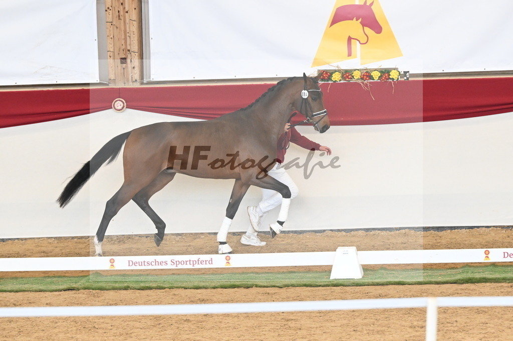 Kat.-Nr. 82 v. Va_ Pensiero_Stuppert_3261157 | hf-fotografie - Realizzato con Pictrs.com