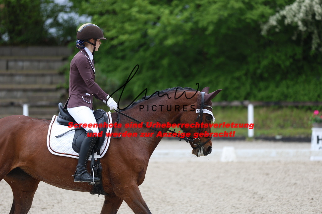 A40A8506 | lmwpictures - Realisiert mit Pictrs.com