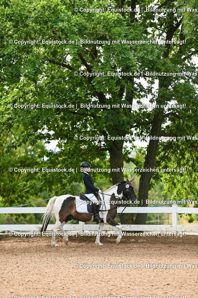 20230716_10-2_Reiter-WB Schritt - Trab - Galopp_0150 | equistock