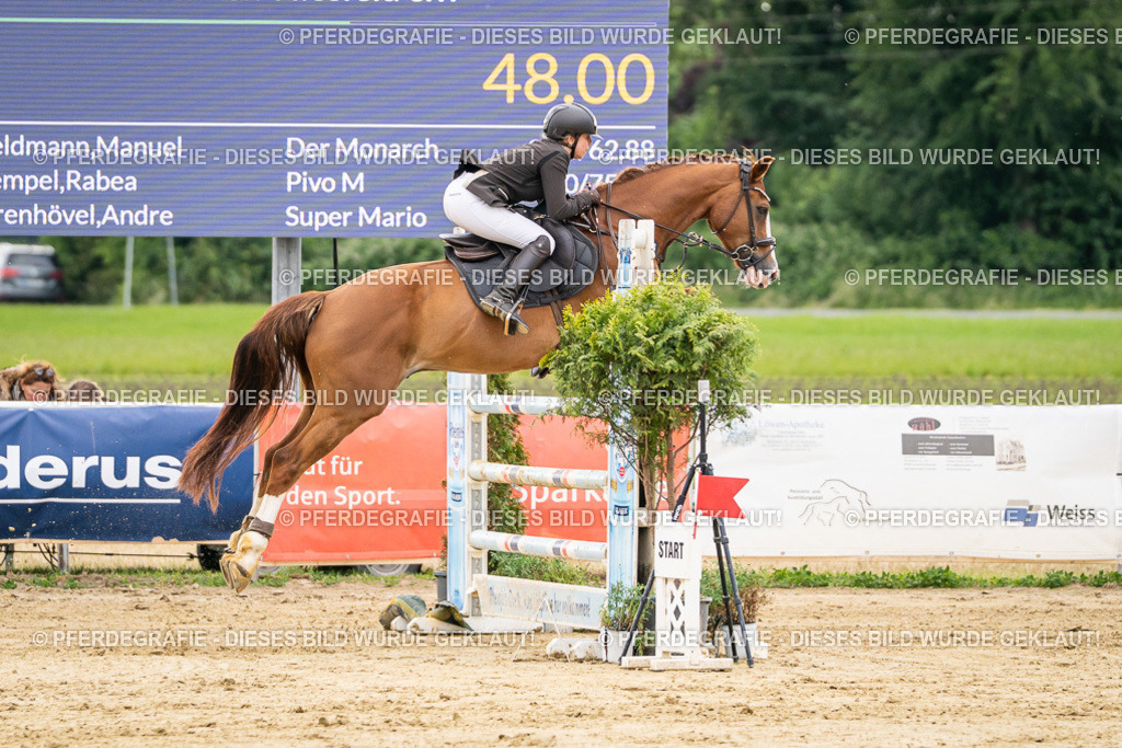 DSC06325 | Pferdegrafie