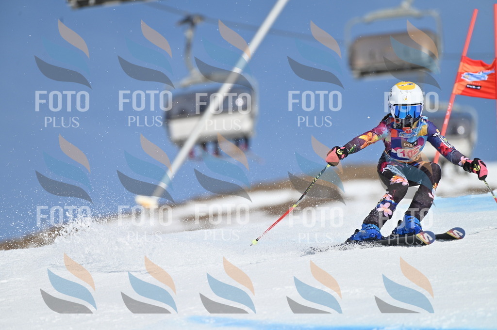 BGV_9489 | holidayphoto