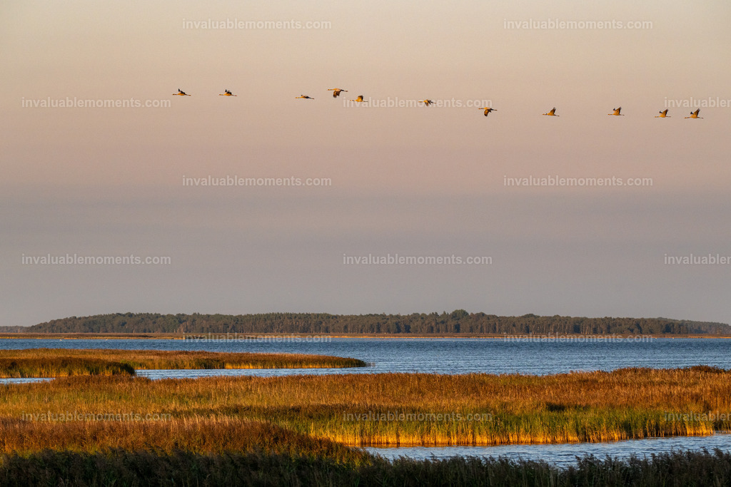 DSC_4945 | invaluablemoments.com - Realisiert mit Pictrs.com