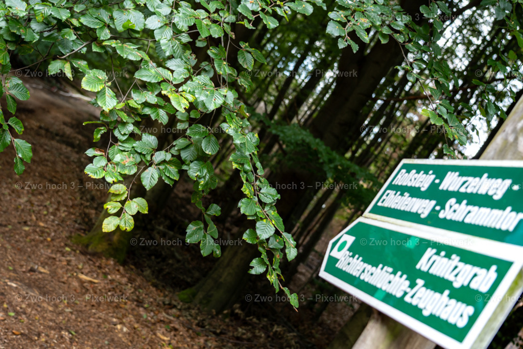 Fremdenweg_Katzenstein_Wegweiser_Buche_Laubblatt | 2022-08-30_Waldbrandgebiete_1 - Realisiert mit Pictrs.com