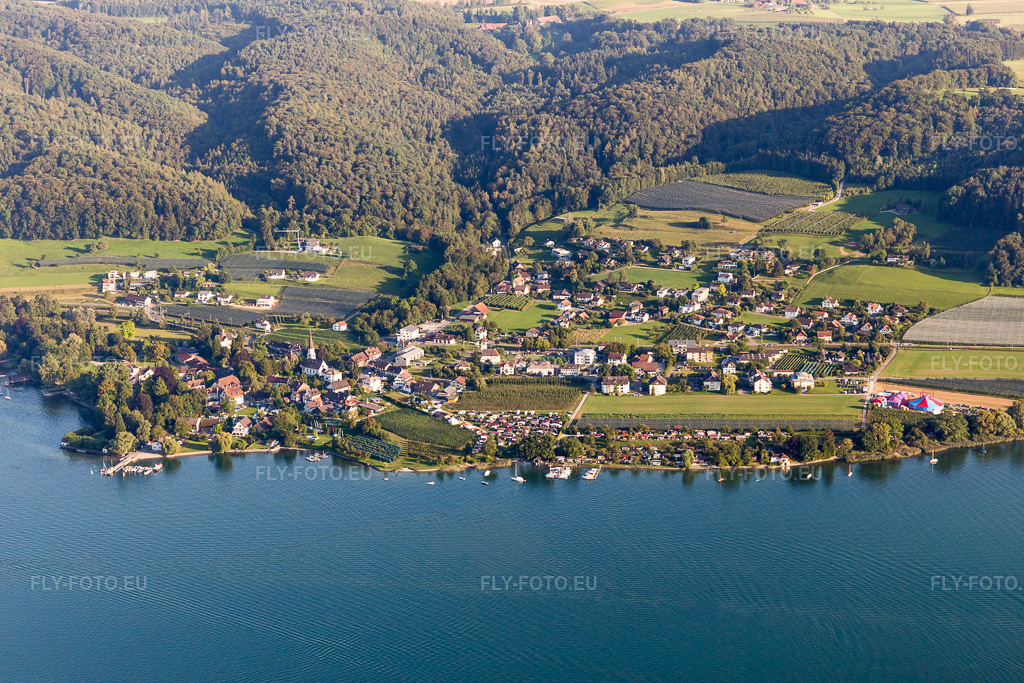 Vue aérienne: Zones riveraines du lac de Constance à Mammern dans le département Thurgovie, Suisse. Photo: IMG_094326.jpg prise le 27/08/2016 par Werner Riehm/FLY-FOTO.eu – Résolution de l'original: 5472 x 3648 px