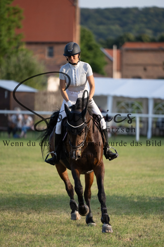 A7V01103 | Pferdefotograf