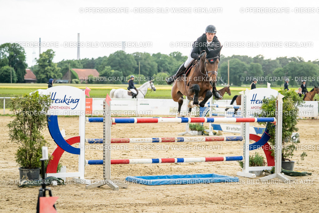 DSC07137 | Pferdegrafie