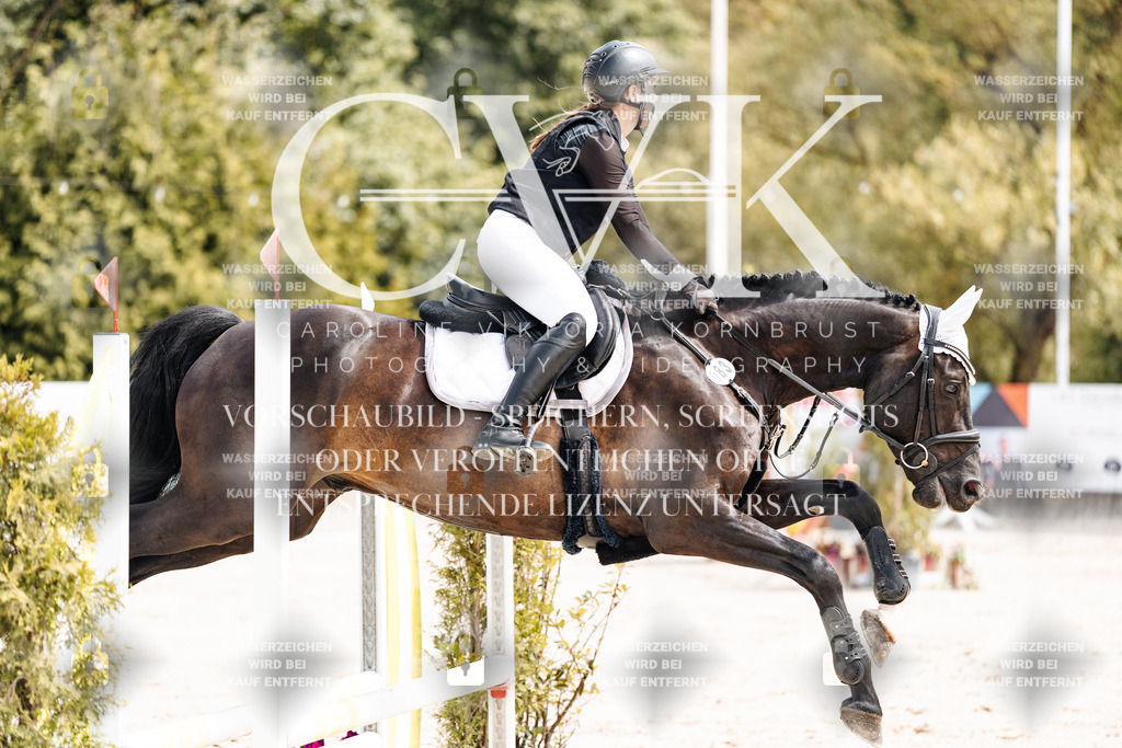 CK906656 | Turnierfotografie Pferdefotografie Trier Rheinland-Pfalz Pferdesport Reitsport Tierfotografie Sportfotografie Pferdevideo Pferdevideografie Equestrianvideography equestrianphotography  - Realisiert mit Pictrs.com