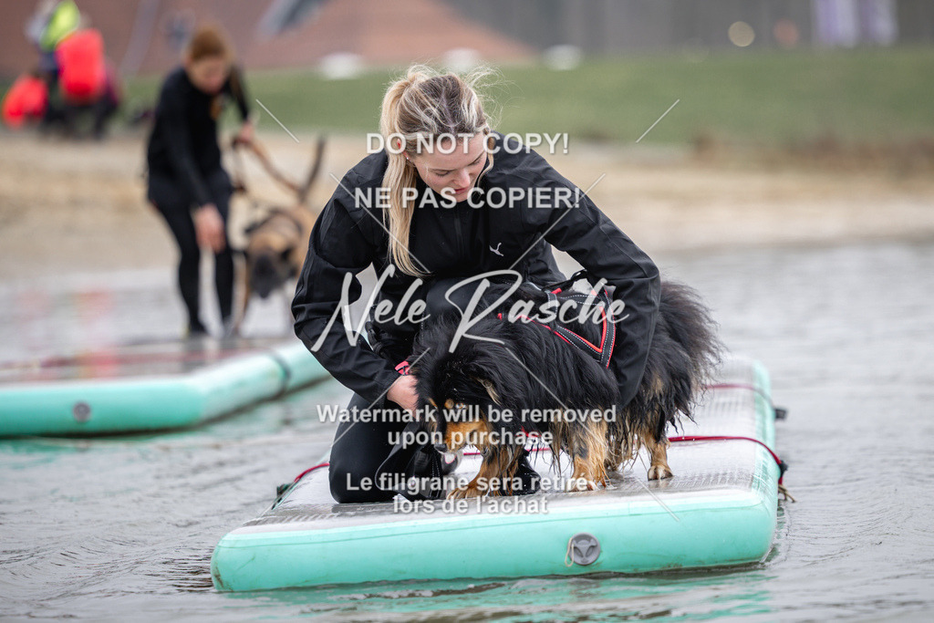 nelerasche_Hulsbeek_Sa1100-1130_98 | nelerasche