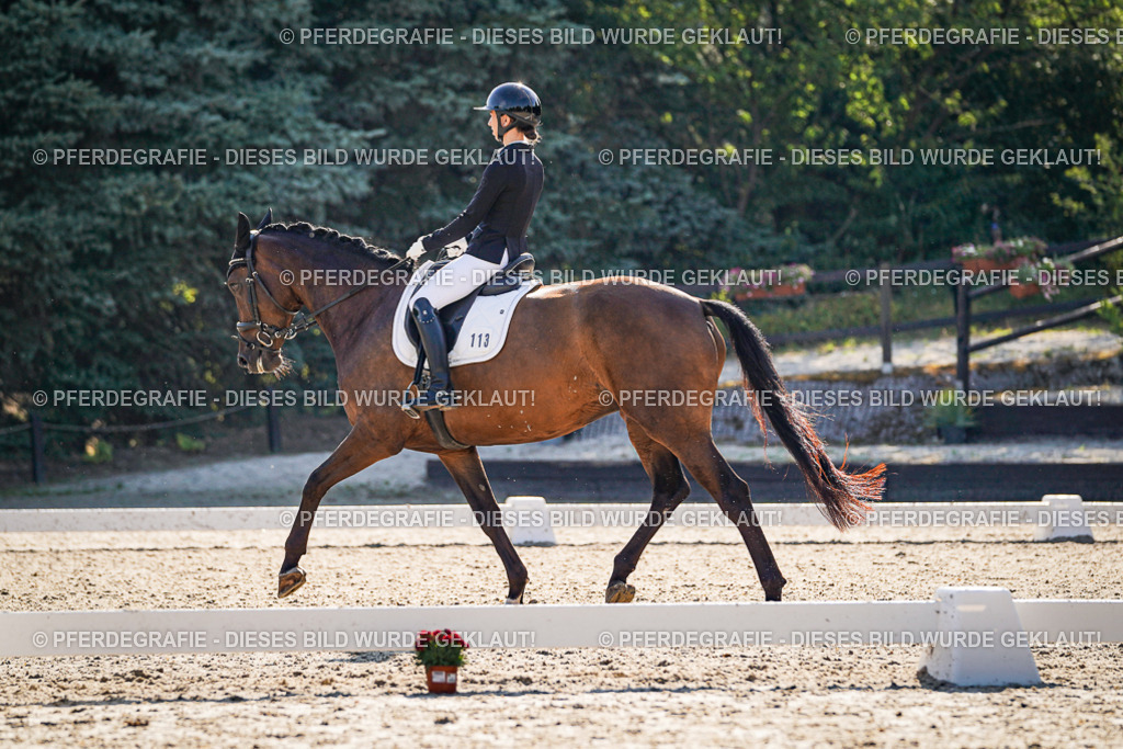 DSC09358 | Pferdegrafie