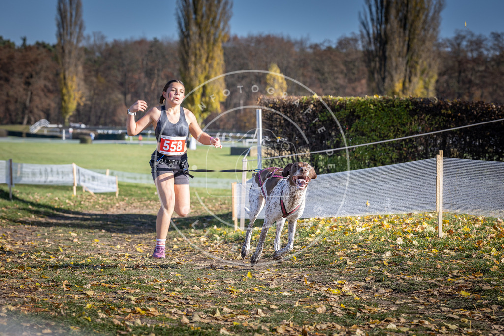 CaniXpix_DV3A8628 | Hundefotografie, Tierfotograf, Pfotenfotografie, Fotoshooting Hund, Hunde Portrait, Hundesport, Hundeportraits, Heideshooting, Hunde, Sportfotograf, Hundefotograf, Turnierhundsport, THS,  - Realisiert mit Pictrs.com
