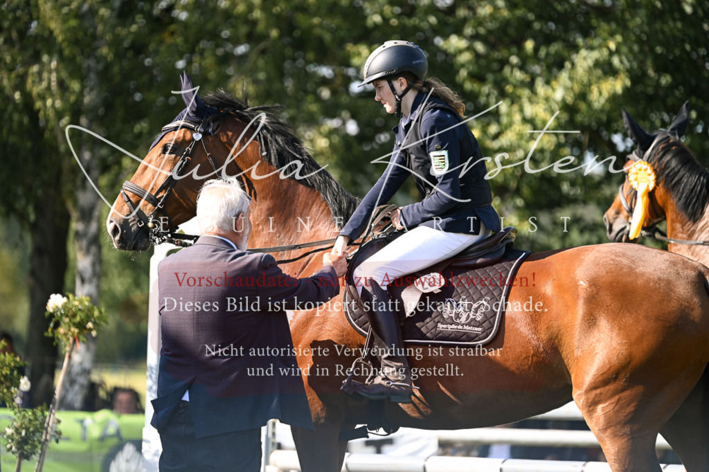 DSC_1528 | Pferde- und Turnierfotografie in Westsachsen. Pferdeportraits, Auftragszeichnungen und intuitive Kunst.