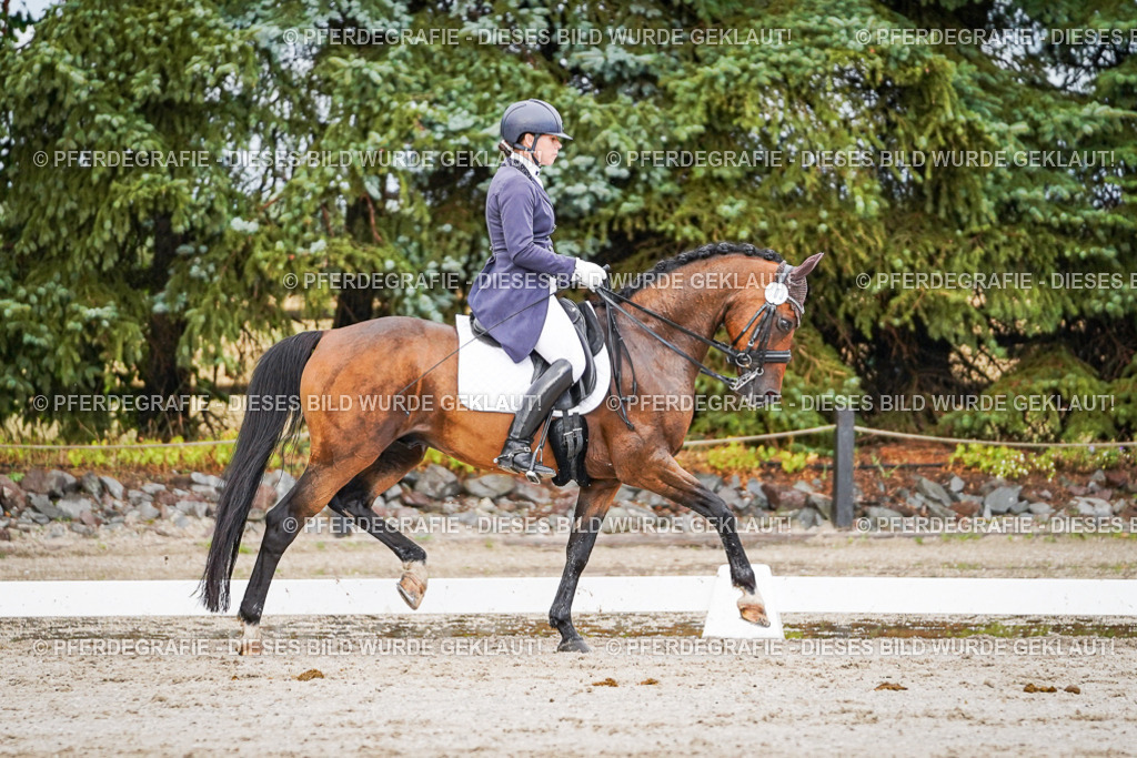 DSC00181 | Pferdegrafie