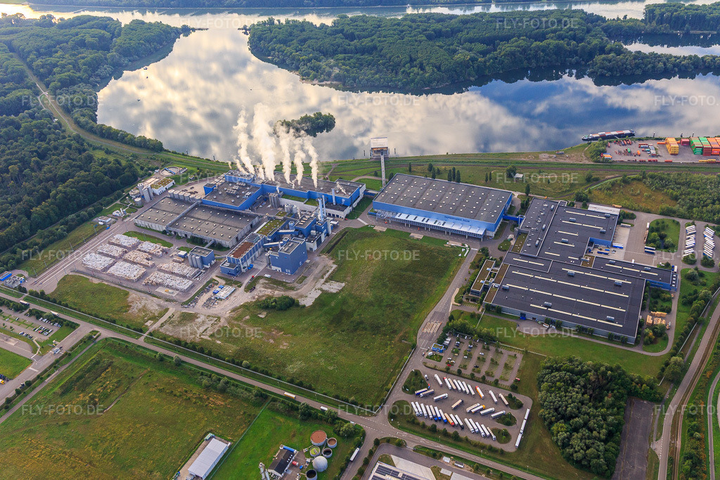Luftbild: Dampfende Schlote der Papierfabrik Palm GmbH & Co. KG | Werk Wörth am Rhein am Landeshafen Wörth aus Nordwesten in Wörth am Rhein im Bundesland Rheinland-Pfalz in Deutschland. Foto: IMG_149476.jpg vom 09.08.2025 durch Werner Riehm/FLY-FOTO.de