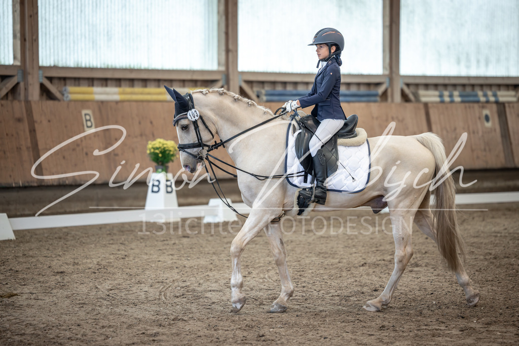 20251011-_3LI8455 | Tierfotografie Pferde, Hunde, Katzen, Haustiere.
Turnierfotografie Reitturniere, Reiten, Springreiten, Dressur in Hanau, dem Main-Kinzig-Kreis und dem Rhein-Main- Gebiet um Frankfurt
