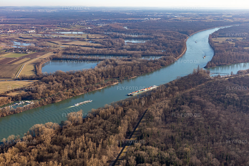 Auwald am Rohrhofer See | Luftbild: Auwald am Rohrhofer See im Ortsteil Rheinau in Mannheim im Bundesland Baden-Württemberg in Deutschland. Foto: IMG_125478.jpg vom 21.02.2021 durch ©2025 Werner Riehm fly-foto.de/copyright - Realisiert mit Pictrs.com