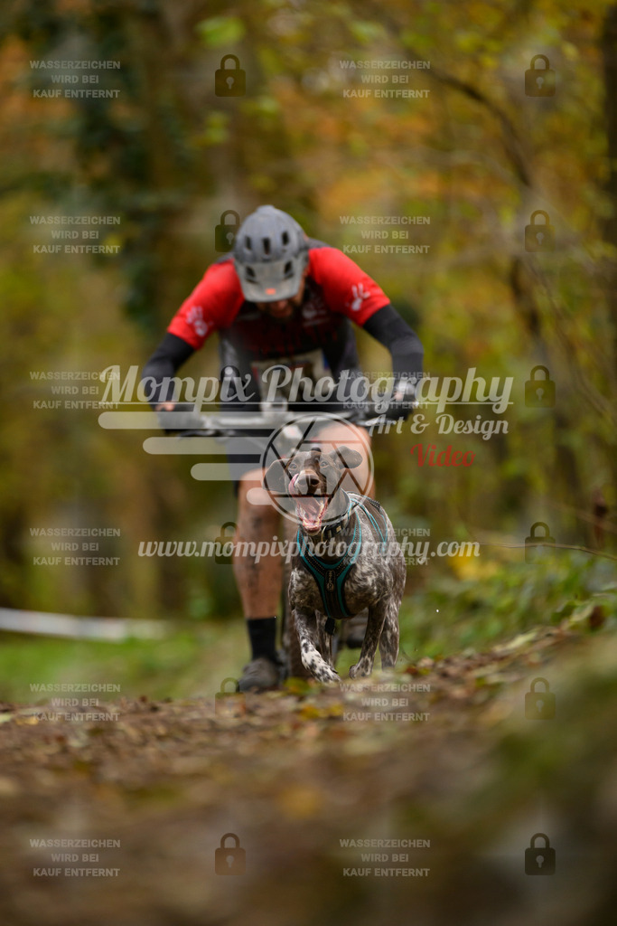 MompixPhotography_Bischwiller24_SA_VTT-18 | PayLife