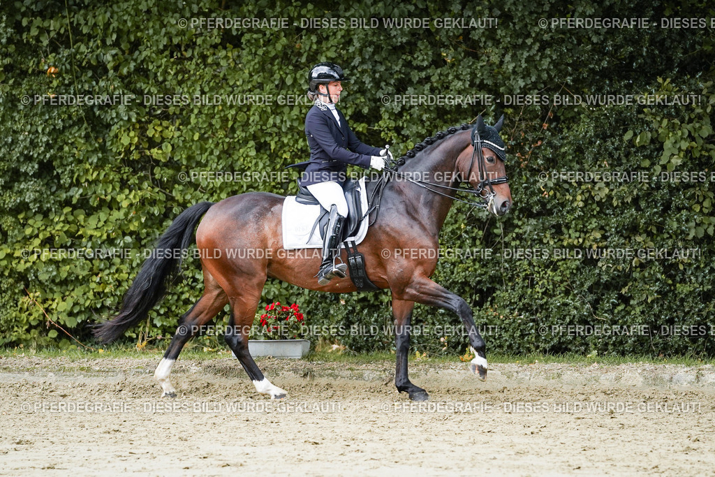 DSC06532 | Pferdegrafie