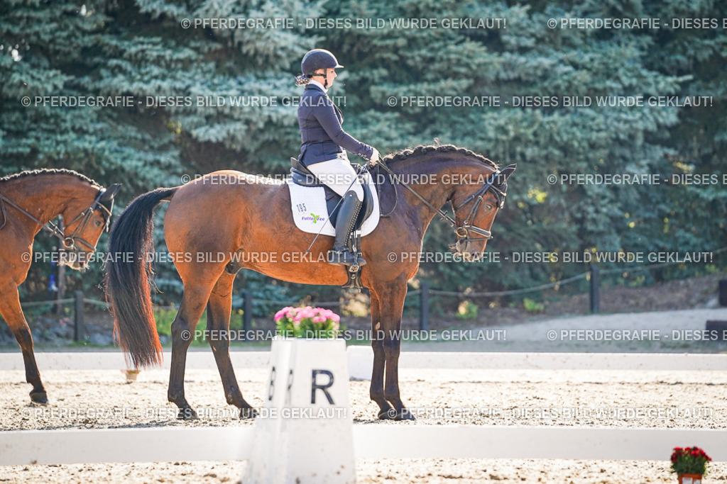 DSC09757 | Pferdegrafie