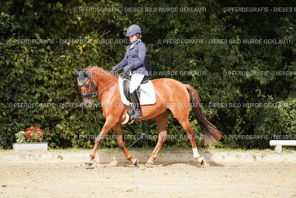 DSC02108 | Pferdegrafie