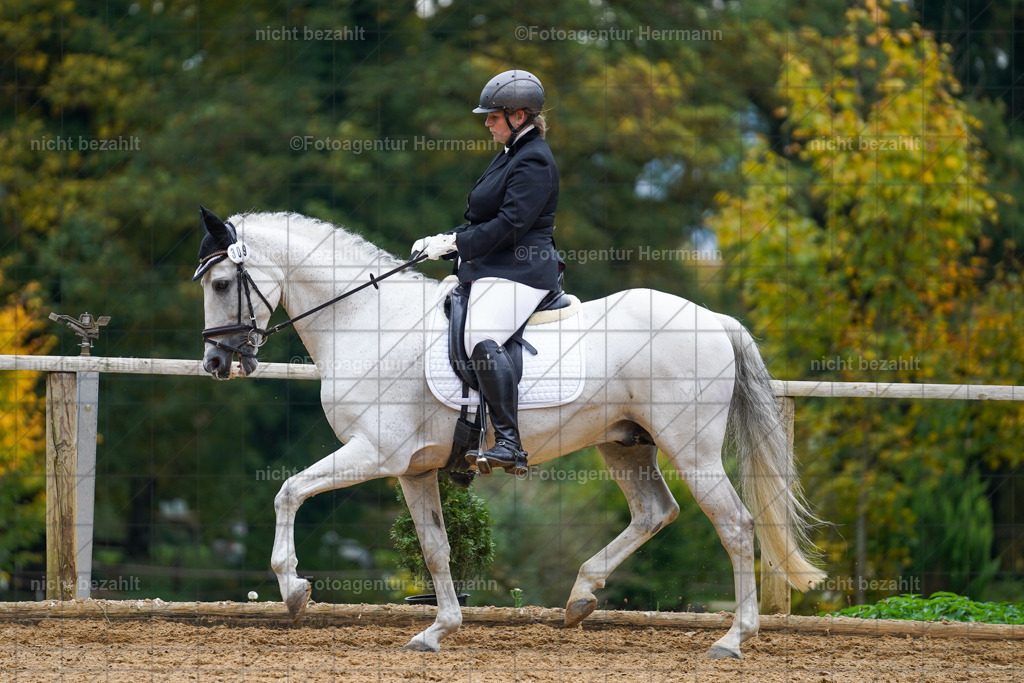 20221008-FAH01502 | Diessen am Ammersee, 2022, Dressur- und Springturnier, Reitsportbilder, Turnierfotografen Bayern, Pferdefotografen, Fotoagentur Herrmann, Turnierbilder