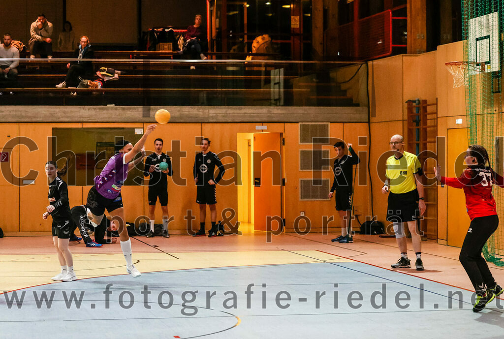 2024-01-27_063_SpVgg_Altenerding_gegen_HSG_Schwab-kirchen | Erding, Deutschland, 27.01.2024:
Handball, Bezirksoberliga Frauen Altbayern 2023 / 2024, 12. Spieltag, SpVgg Altenerding gegen HSG Schwab/kirchen, Endergebnis: 39:28

Nikayla Alston (SpVgg Altenerding, #11), Lisa Marie Dörnhofer (HSG Schwab/kirchen, #37)

Foto: Christian Riedel / fotografie-riedel.net