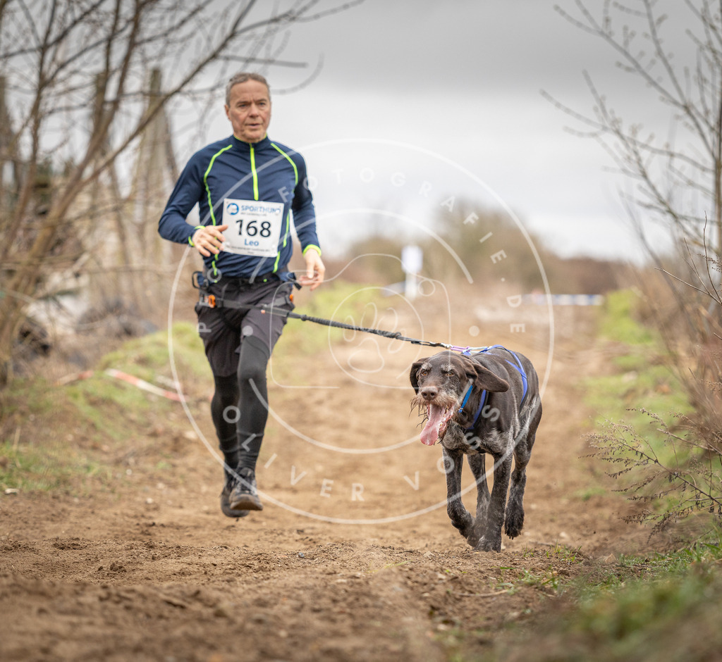 DV3A1908 | Hundefotografie, Tierfotograf, Pfotenfotografie, Fotoshooting Hund, Hunde Portrait, Hundesport, Hundeportraits, Heideshooting, Hunde, Sportfotograf, Hundefotograf, Turnierhundsport, THS,  - Realisiert mit Pictrs.com