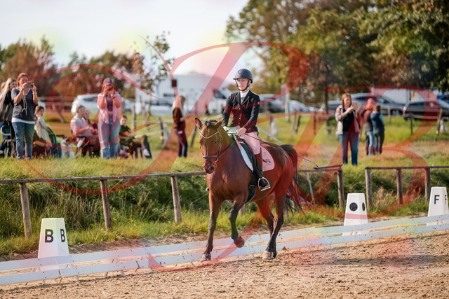 2026_10_03_Siefer-Hof_131047_Z63_74119667 | Professionelle Reitsport-, Turnier- und Eventfotografie von Robert Broda. Galerien mit ausgewählten und bearbeiteten Bildern direkt online ansehen und bestellen.
