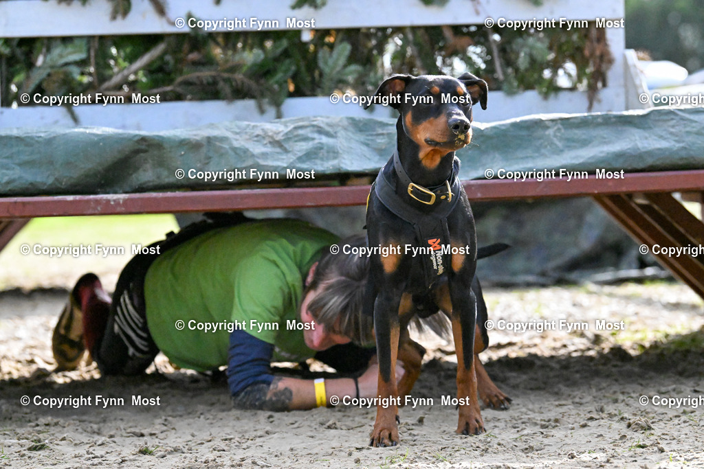 DSC_6553 | Hallo und herzlich Willkommen auf meiner Shop-Seite Fynn Most.

Ich wünsche Dir viel Spaß beim stöbern durch die Bilder, wenn Du Fragen hast oder Bilder vermisst, kannst du mir gerne eine Nachricht schreiben. - Realisiert mit Pictrs.com