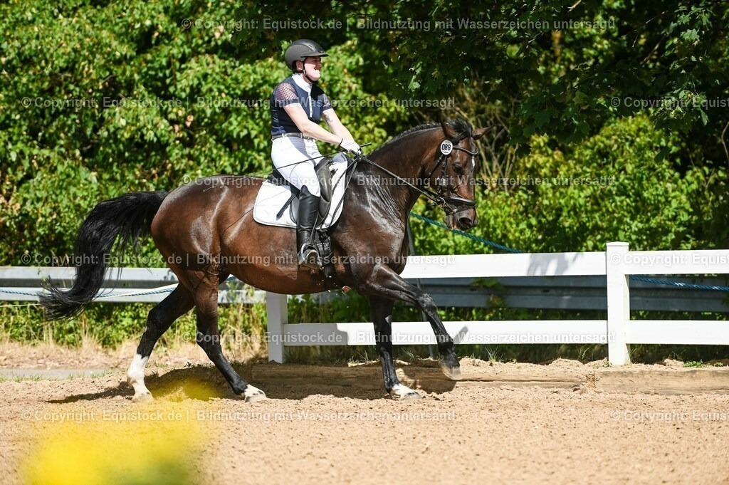 20230715_02_Dressurreiterprüfung Kl.L_0127 | equistock