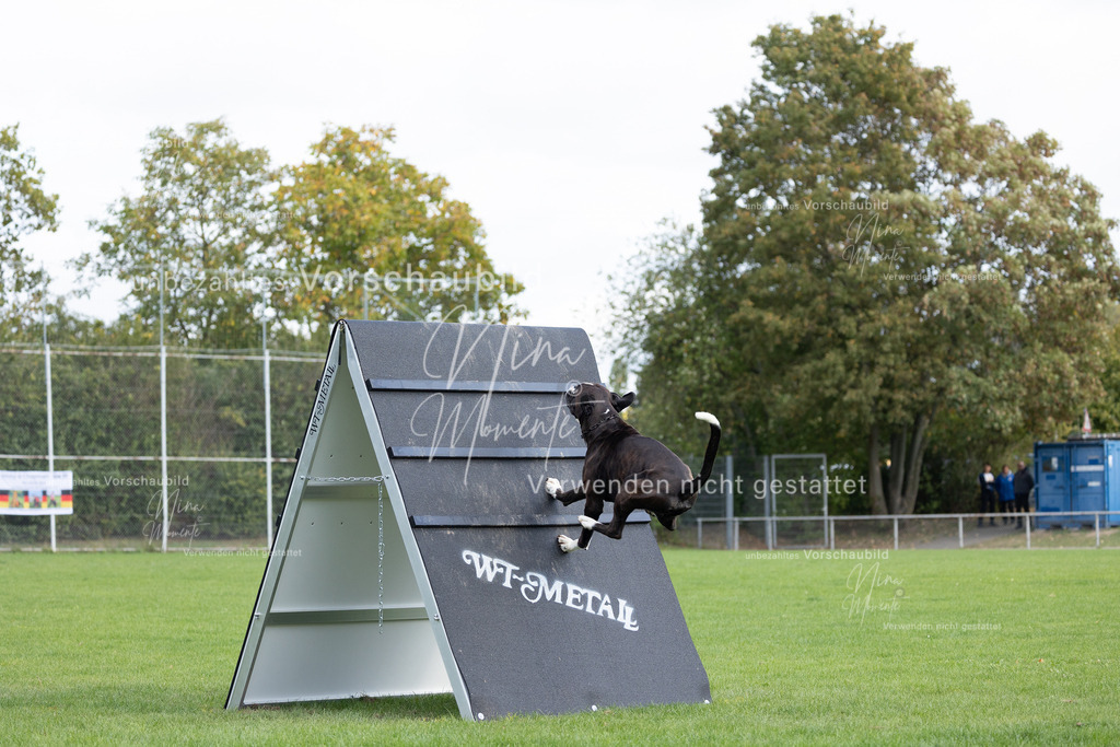 _16A6685 | Einzigartige Fotos von Hunden & Menschen –Actionfotos, Portraits, Vereinsaufnahmen & Paarshootings – authentisch, lebendig & mit Herz.