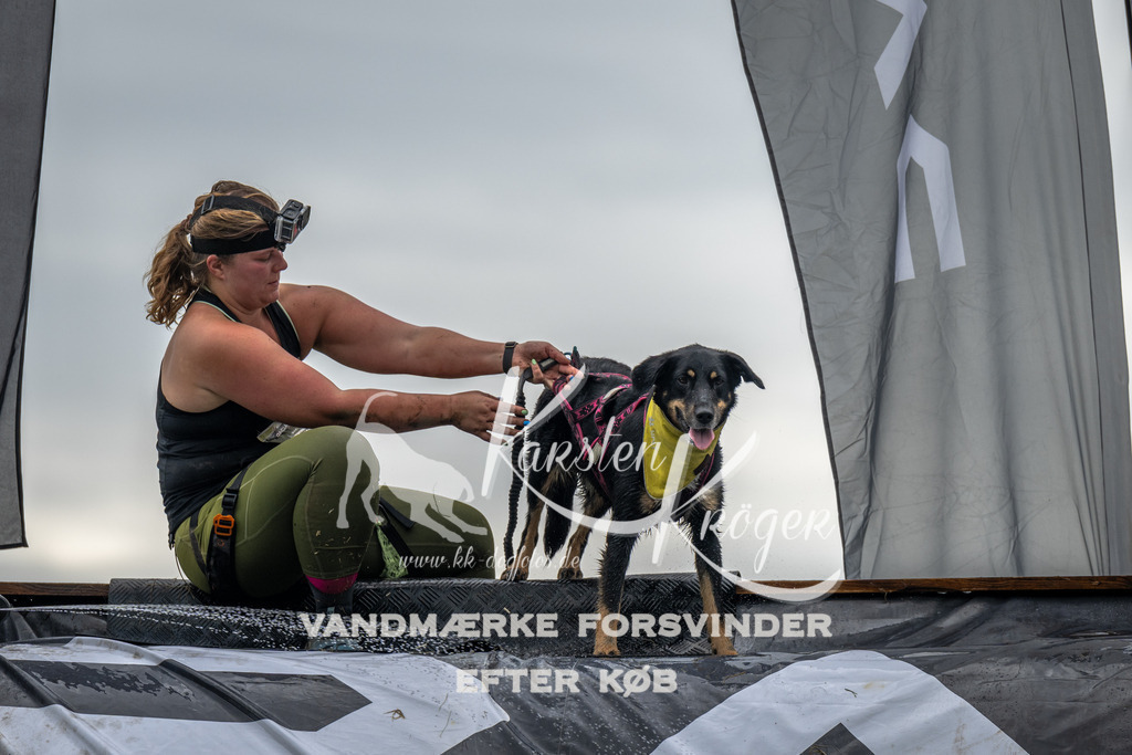 1339_ZZ92852 | kk-dogfotos