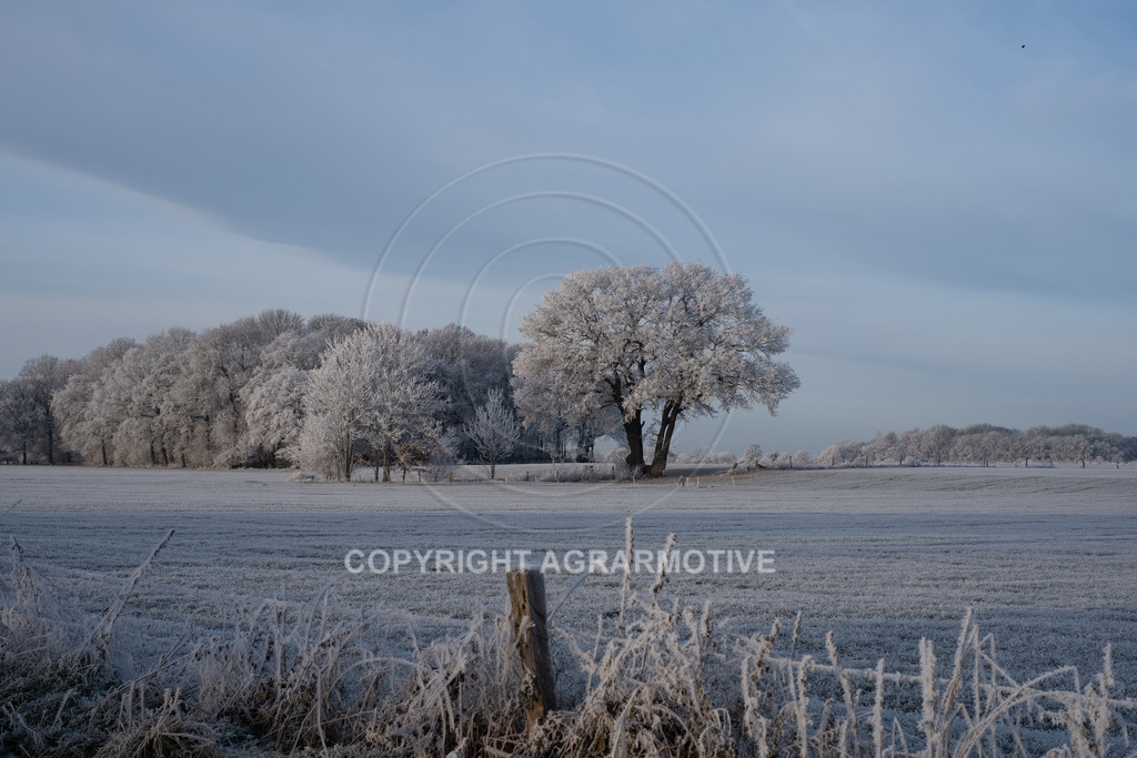 20221218-_DSF2510 | Schneebedeckte Landschaft bei eisiger Kälte - Realisiert mit Pictrs.com