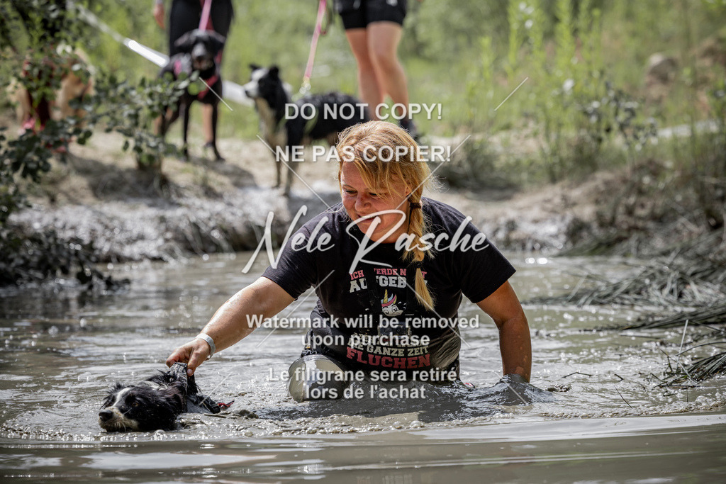 nelerasche_so1145-1230_134 | nelerasche