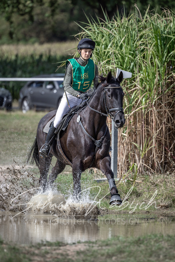 20250907-_3LI1594 | Tierfotografie Pferde, Hunde, Katzen, Haustiere.
Turnierfotografie Reitturniere, Reiten, Springreiten, Dressur in Hanau, dem Main-Kinzig-Kreis und dem Rhein-Main- Gebiet um Frankfurt