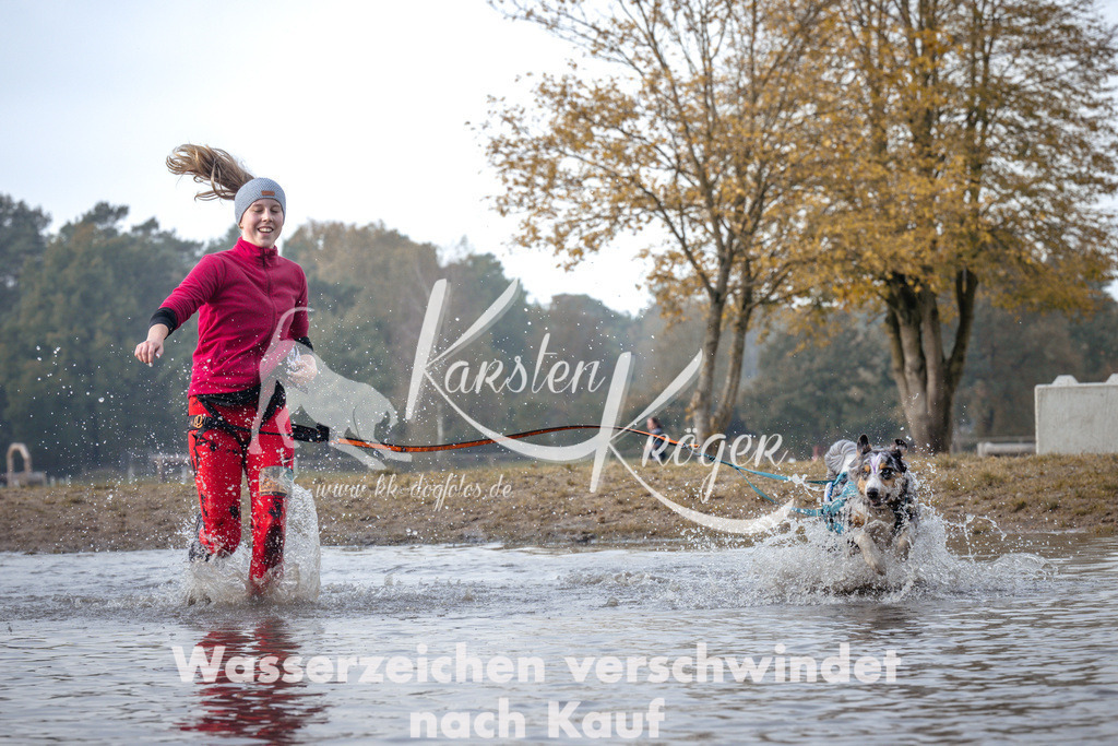 1124_ZZ94531 | kk-dogfotos