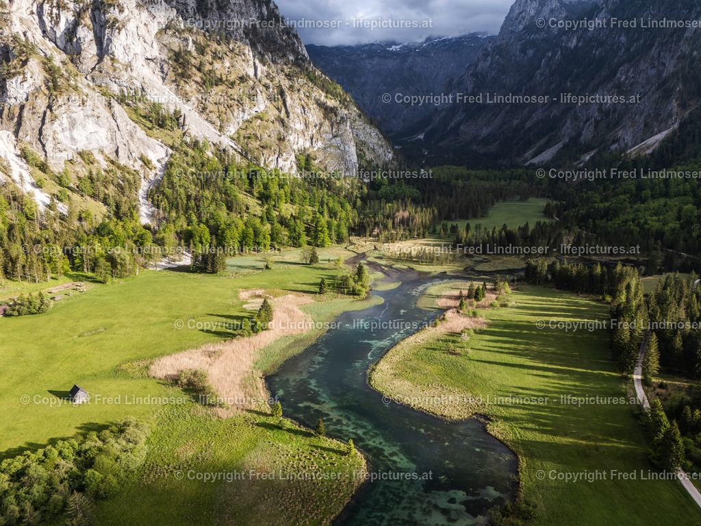 Brunnsee 15052025 _ Fred Lindmoser--4 | default - Realisiert mit Pictrs.com