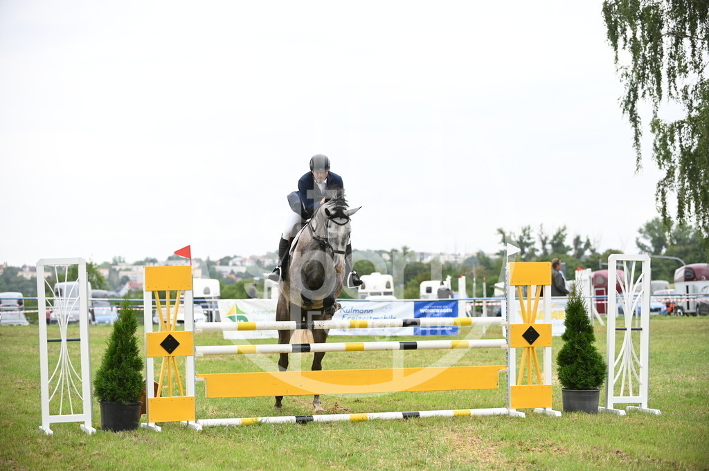 DSC_0173 | sattelsport - Realisiert mit Pictrs.com