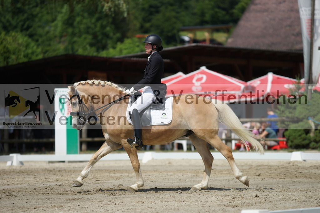 DSC05268 | equestrian-live-com