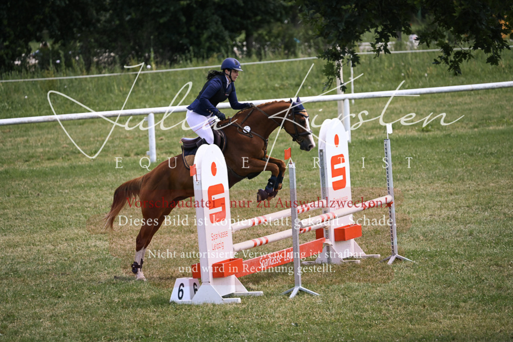 DSC_9889 | Pferde- und Turnierfotografie in Westsachsen. Pferdeportraits, Auftragszeichnungen und intuitive Kunst.