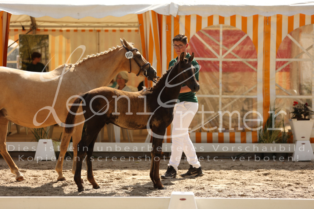 08.DoRPS00044 | Leoni Ertmer Photography - Realisiert mit Pictrs.com