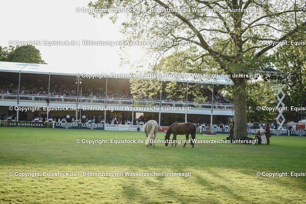 20230526_Impressionen_0329 | equistock