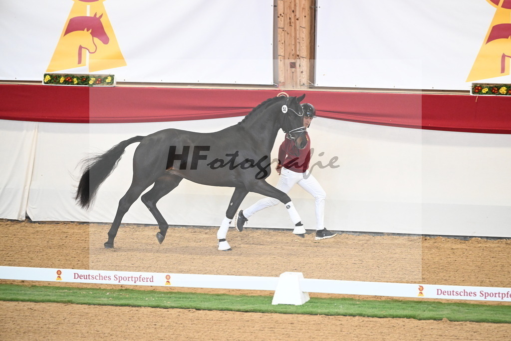 Kat.-Nr. 79 v. Taurus_Beckmann_2250347 | hf-fotografie - Realisiert mit Pictrs.com