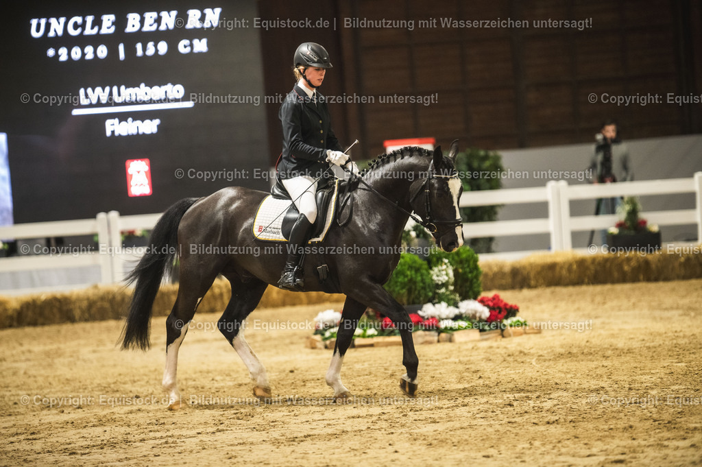20240302_Hengstvorstellung_Marbach_TOMsPiC_0707 | equistock